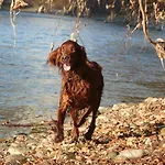 Готель Goldener Schluessel 3*