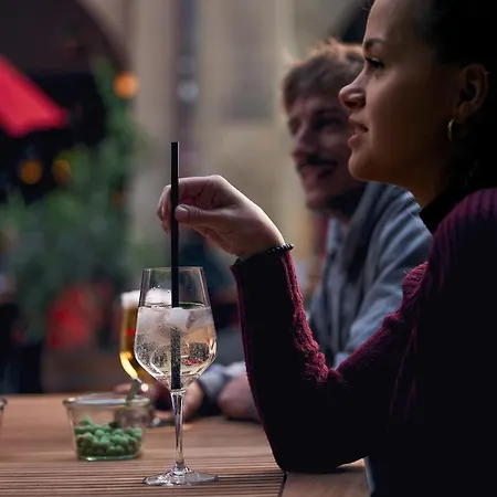 골드너 슐뤼셀 베른